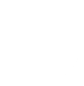 Logo Safe8