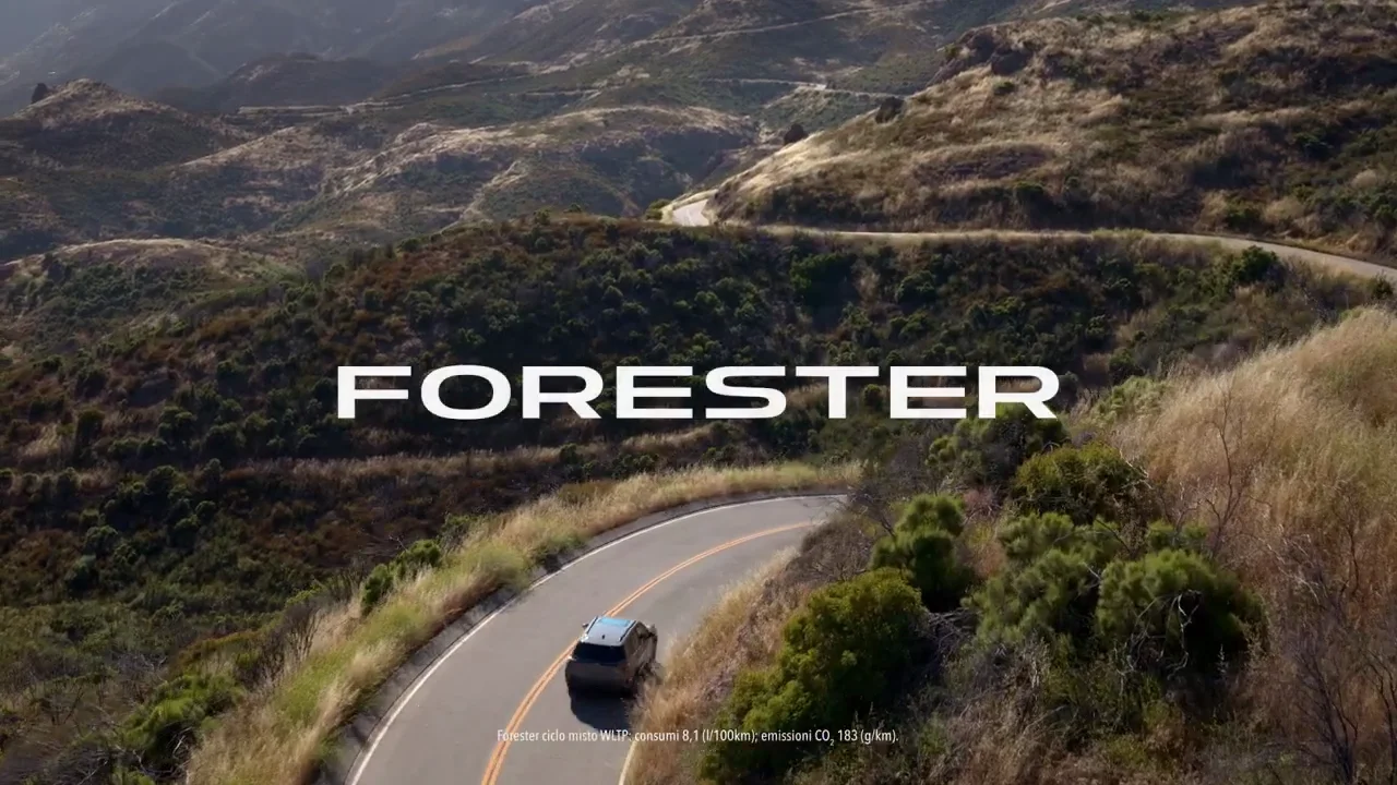 Poster Video