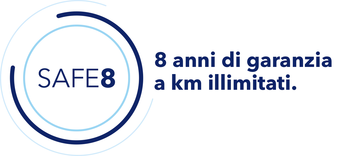 Logo SAFE8